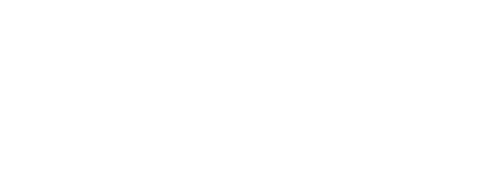 Aneta Dziedzina - Marketing Manager