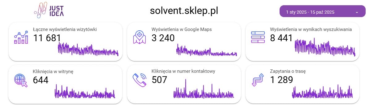 raport z pozycjonowania wizytówki Google